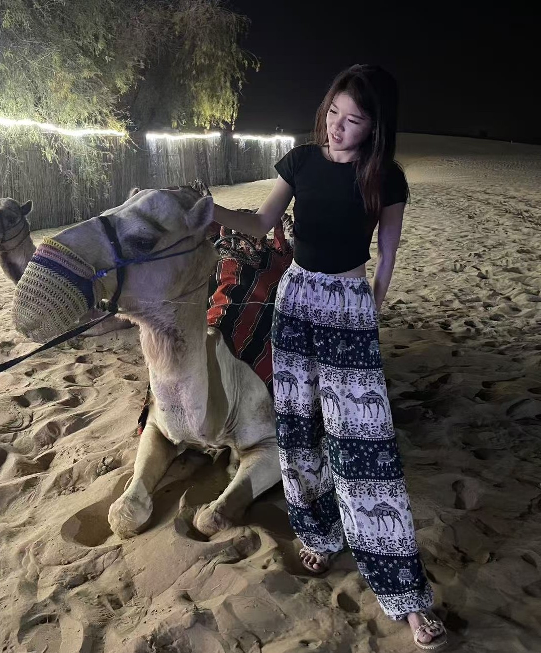 Cindy — Shanghai Native